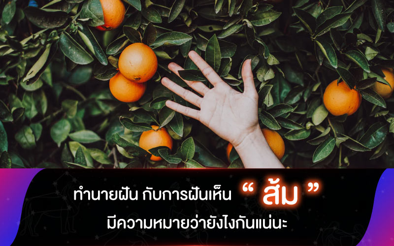 ทำนายฝัน กับการฝันเห็น “ส้ม” มีความหมายว่ายังไงกันแน่นะ