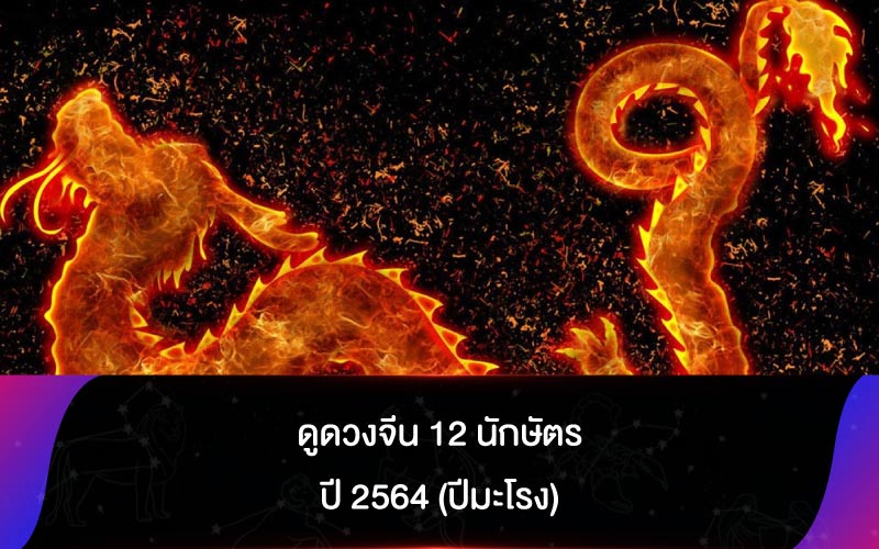 ดูดวงจีน 12 นักษัตร ปี 2564 (ปีมะโรง)